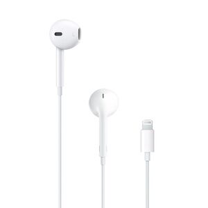 Apple headphones with lighting charger end